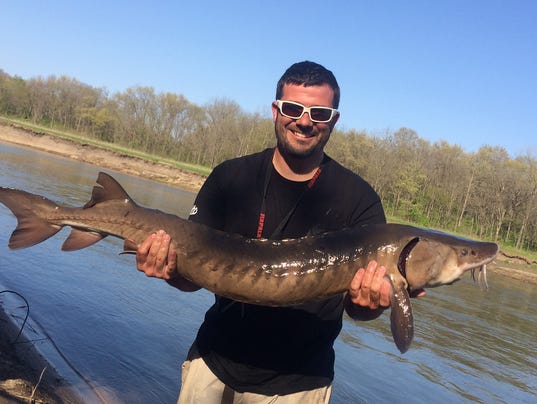 this-rare-and-very-ancient-fish-was-caught-in-an-iowa-river