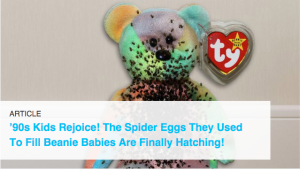 Beanie babies best sale hatching spiders