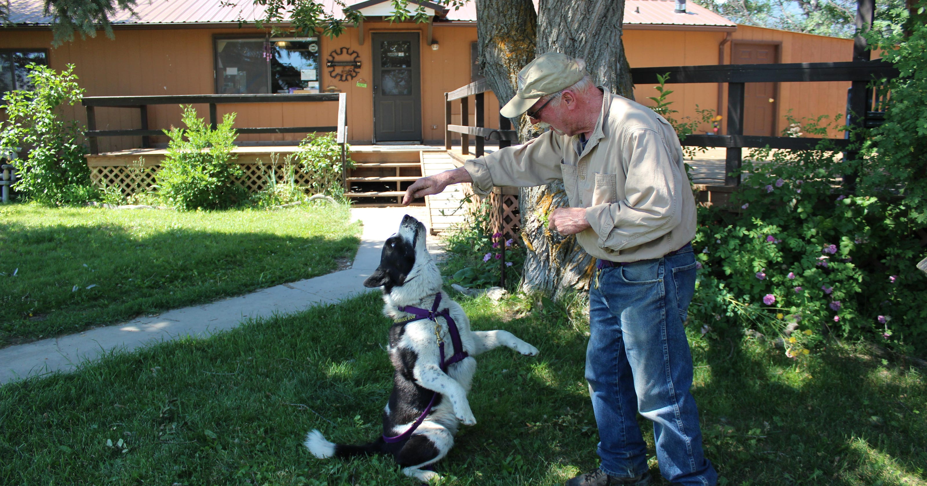 The Art Of Bear Shepherding