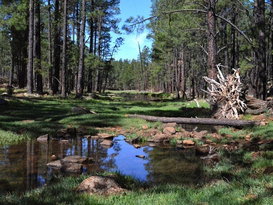 Coolest things to do in Springerville, Eagar, Pinetop-Lakeside this summer