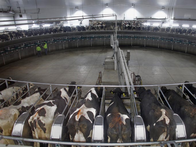 Photos: Inside the Kinnard dairy farm