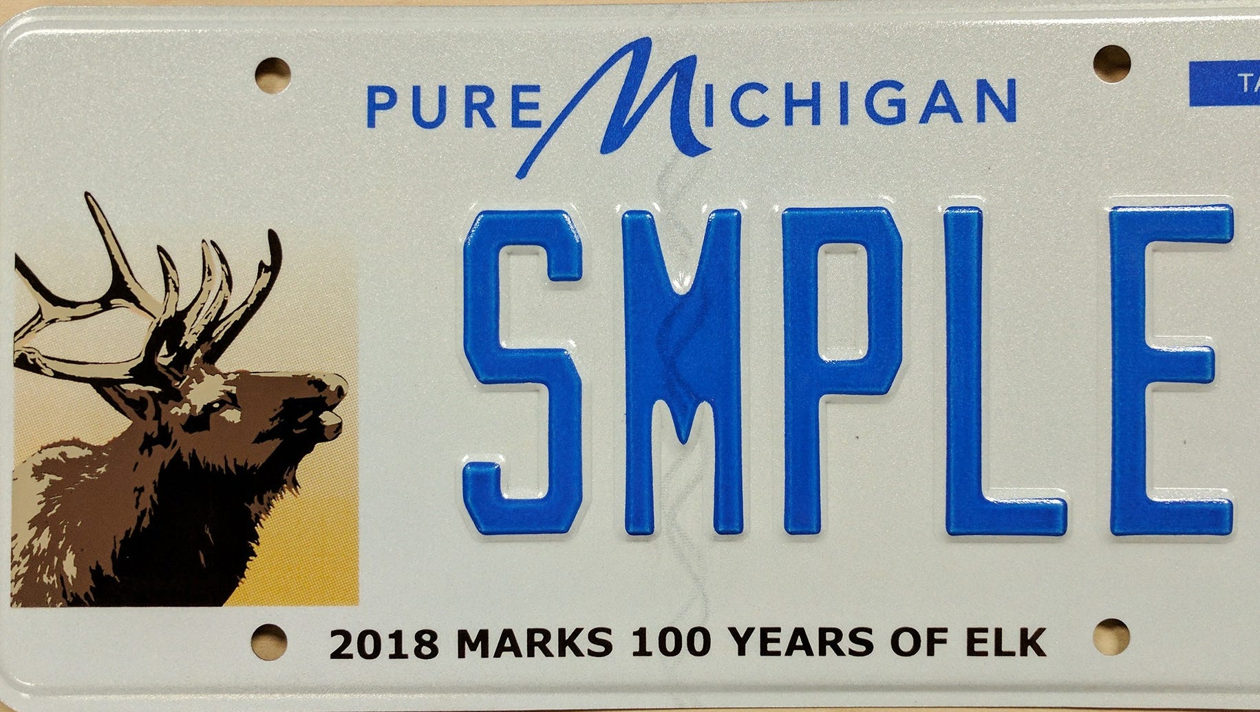 michigan price to renew license plate