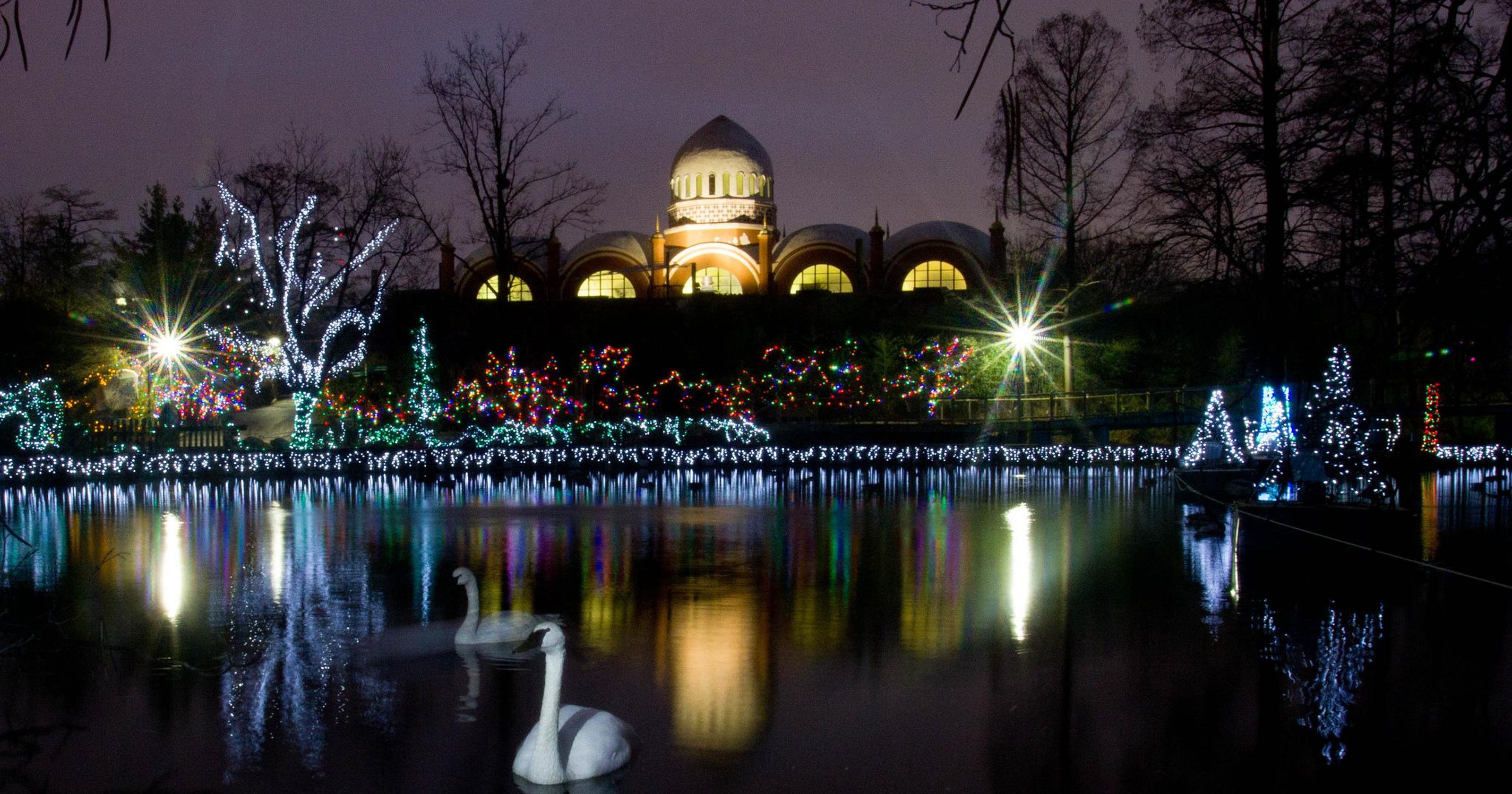 Cincinnati Zoo Festival of Lights opens Saturday