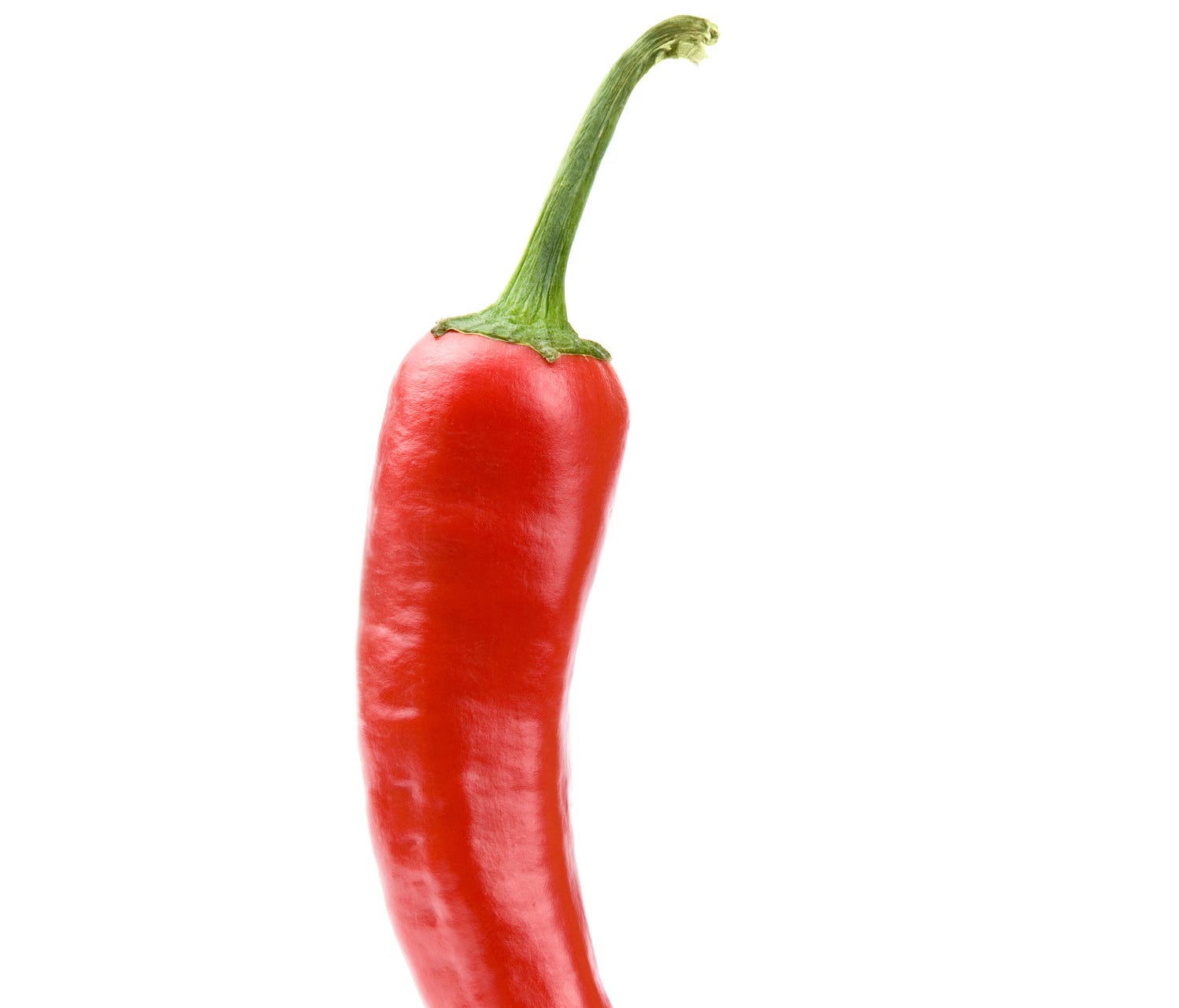 Hot chili pepper on white