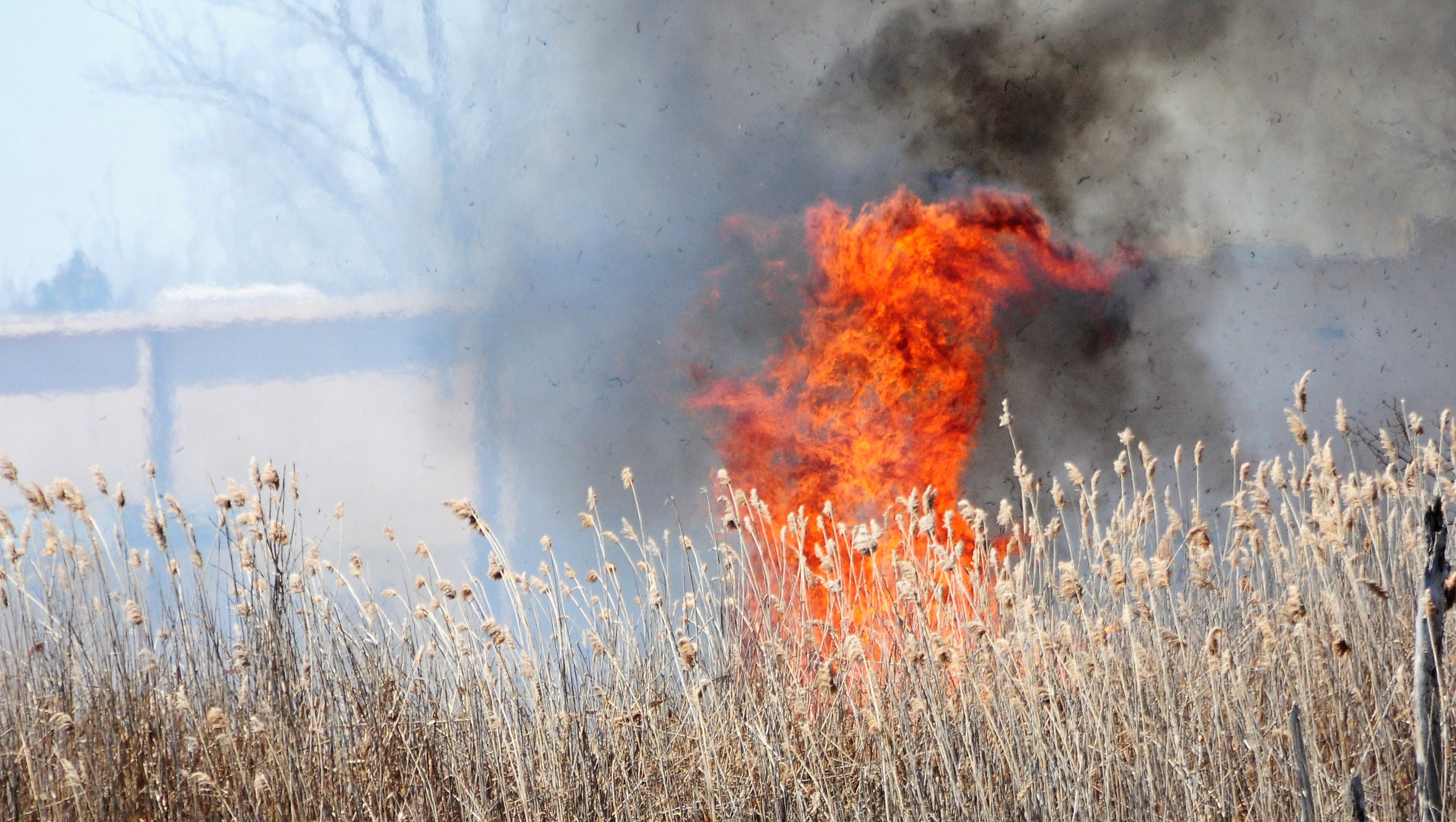 DNR: Fire Danger Elevated In Southeast Michigan, Thumb