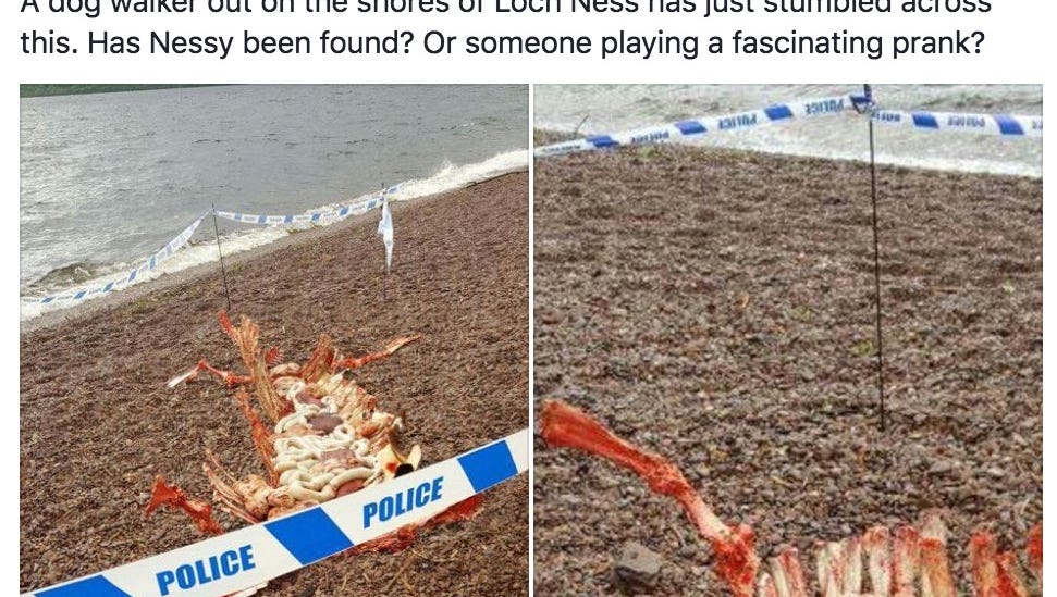 Remains Of Loch Ness Monster Wash Ashore