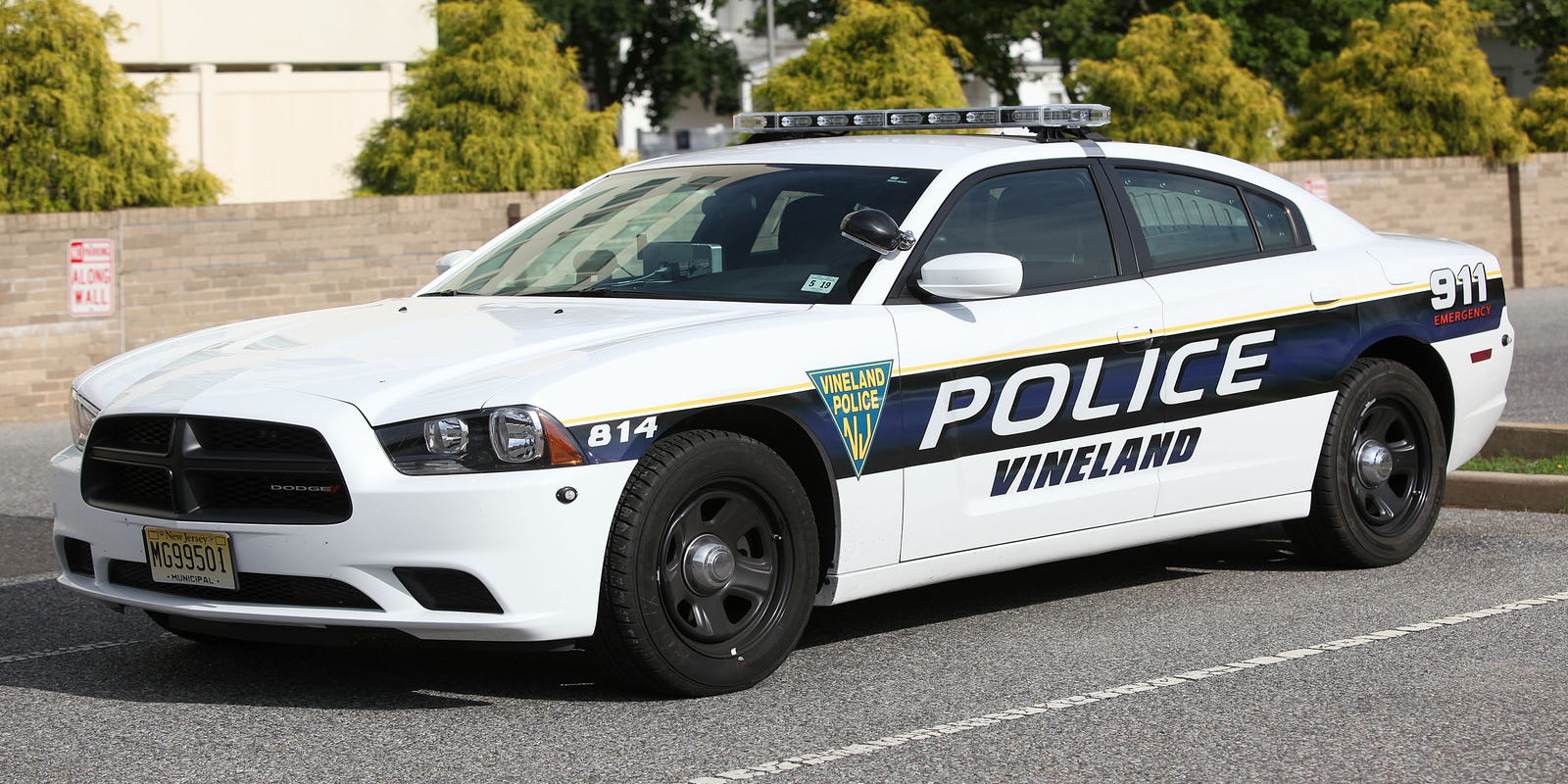 Vineland Police for March 20