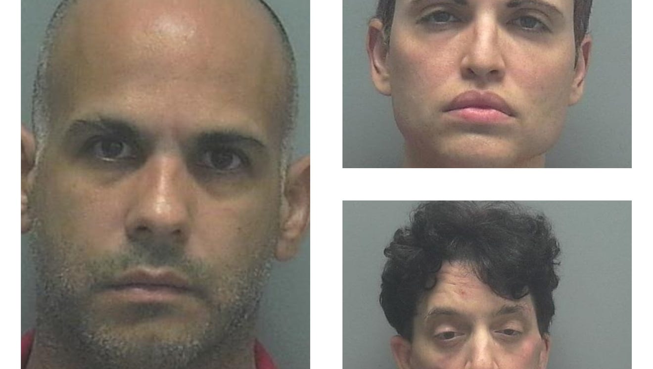Three Sexual Offenders Among Those Arrested In Sting
