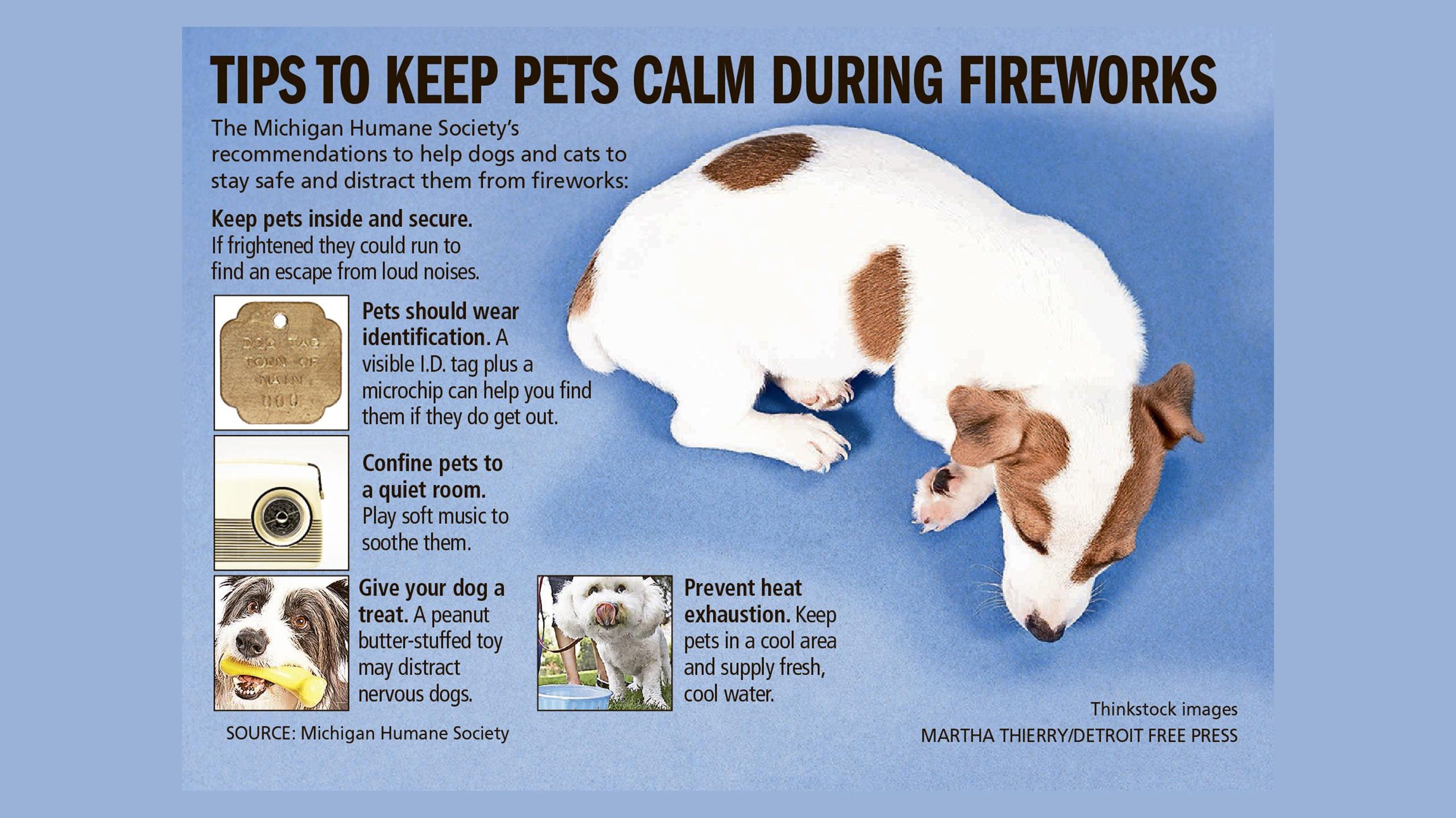 are fireworks harmful to dogs