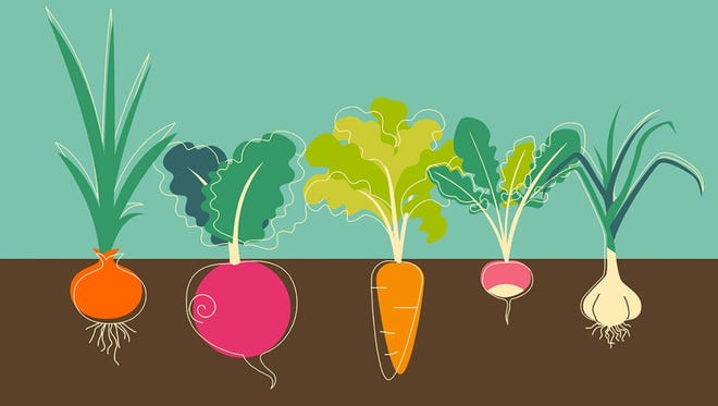 All you need to know about vegetable gardening in Tennessee
