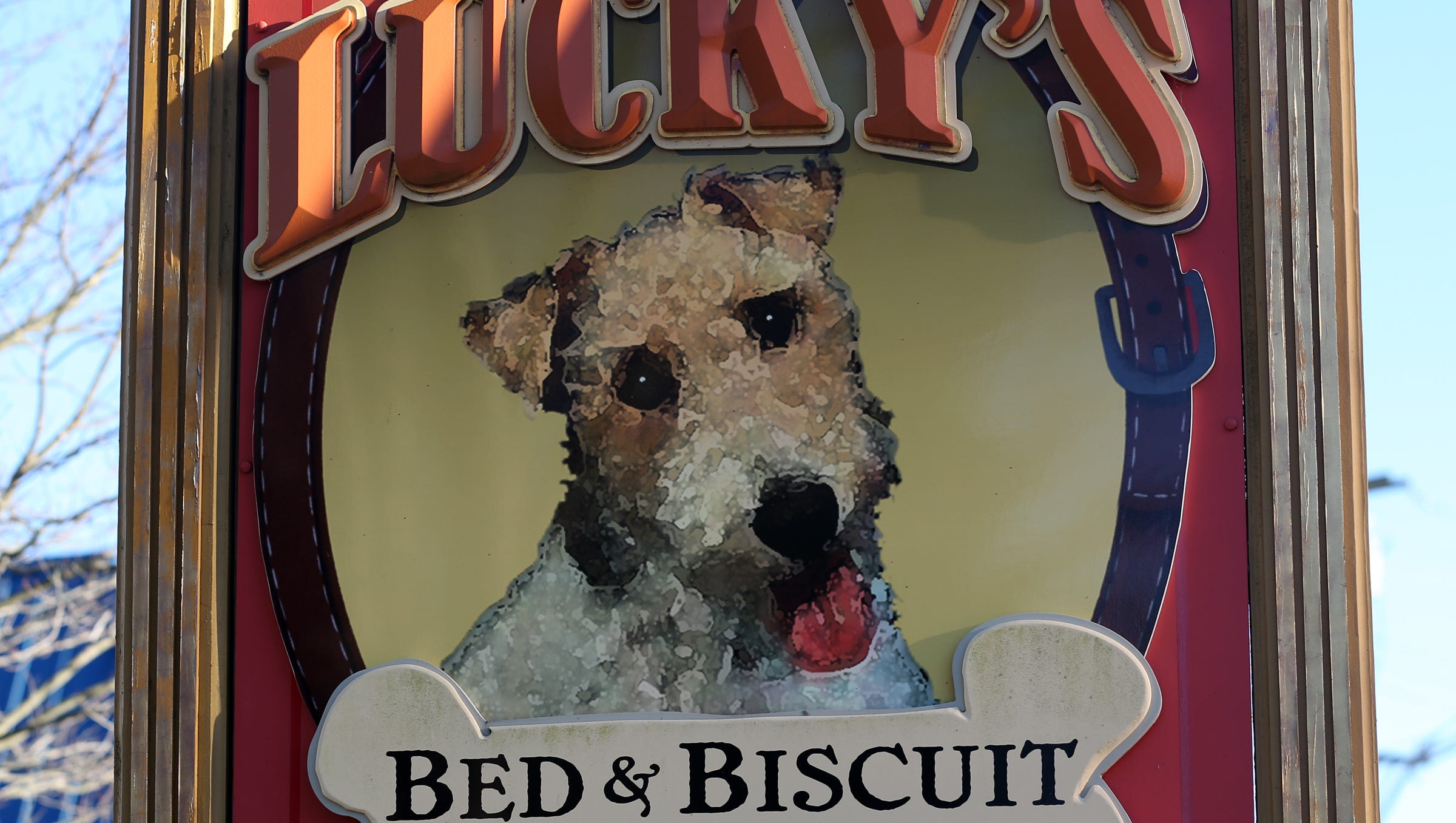 Lucky S Bed Biscuit Gives Pets Place To Stay