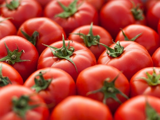 Mexico Tomato Tariff Us Tomato Prices Expected To Increase 