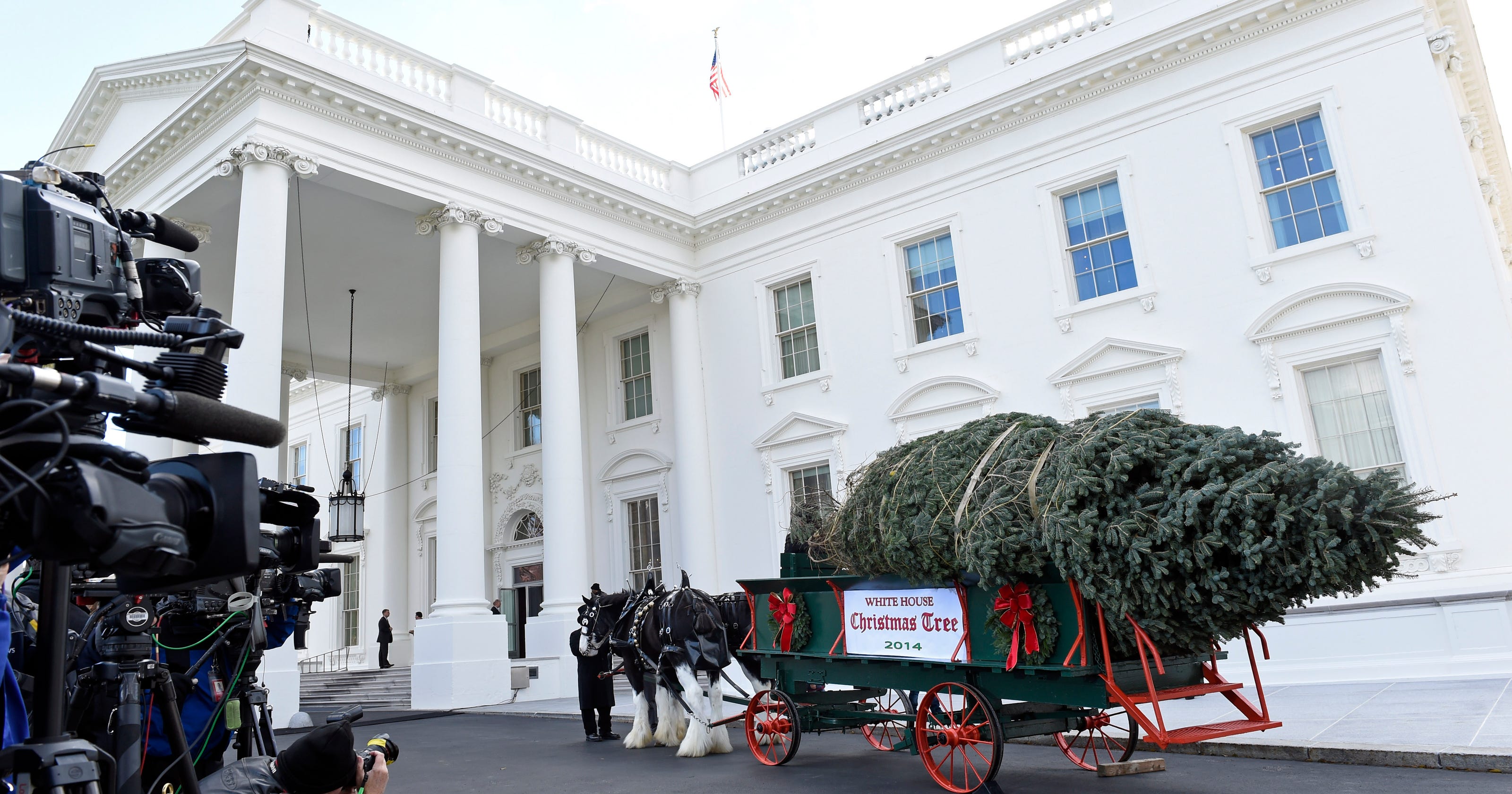 Official Christmas tree arrives at White House
