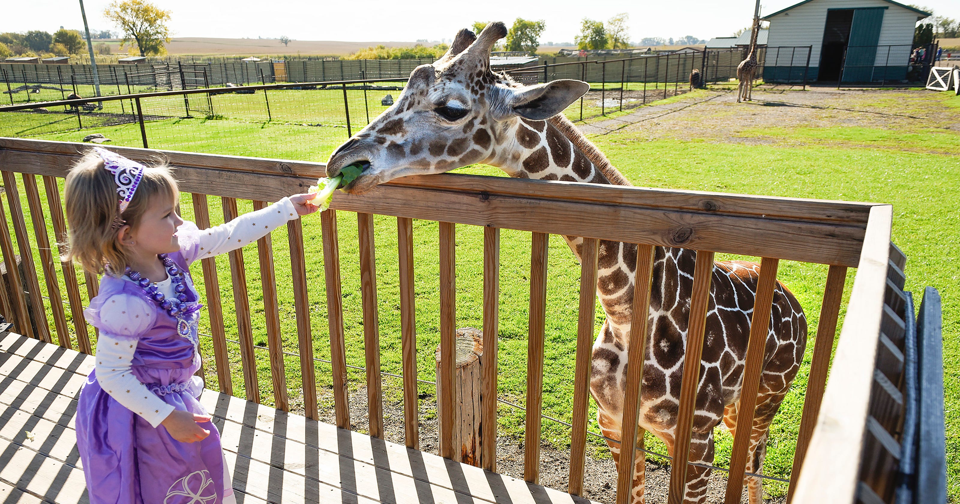 Kids trick or treat with animals at Hemker park's Boo at the Zoo