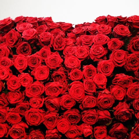 A big pile of bright red roses