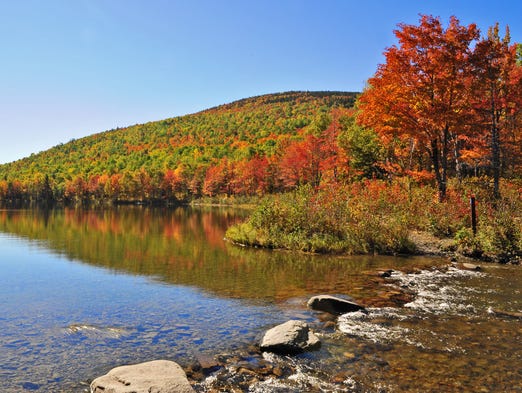 10Best: American forests perfect for a fall visit