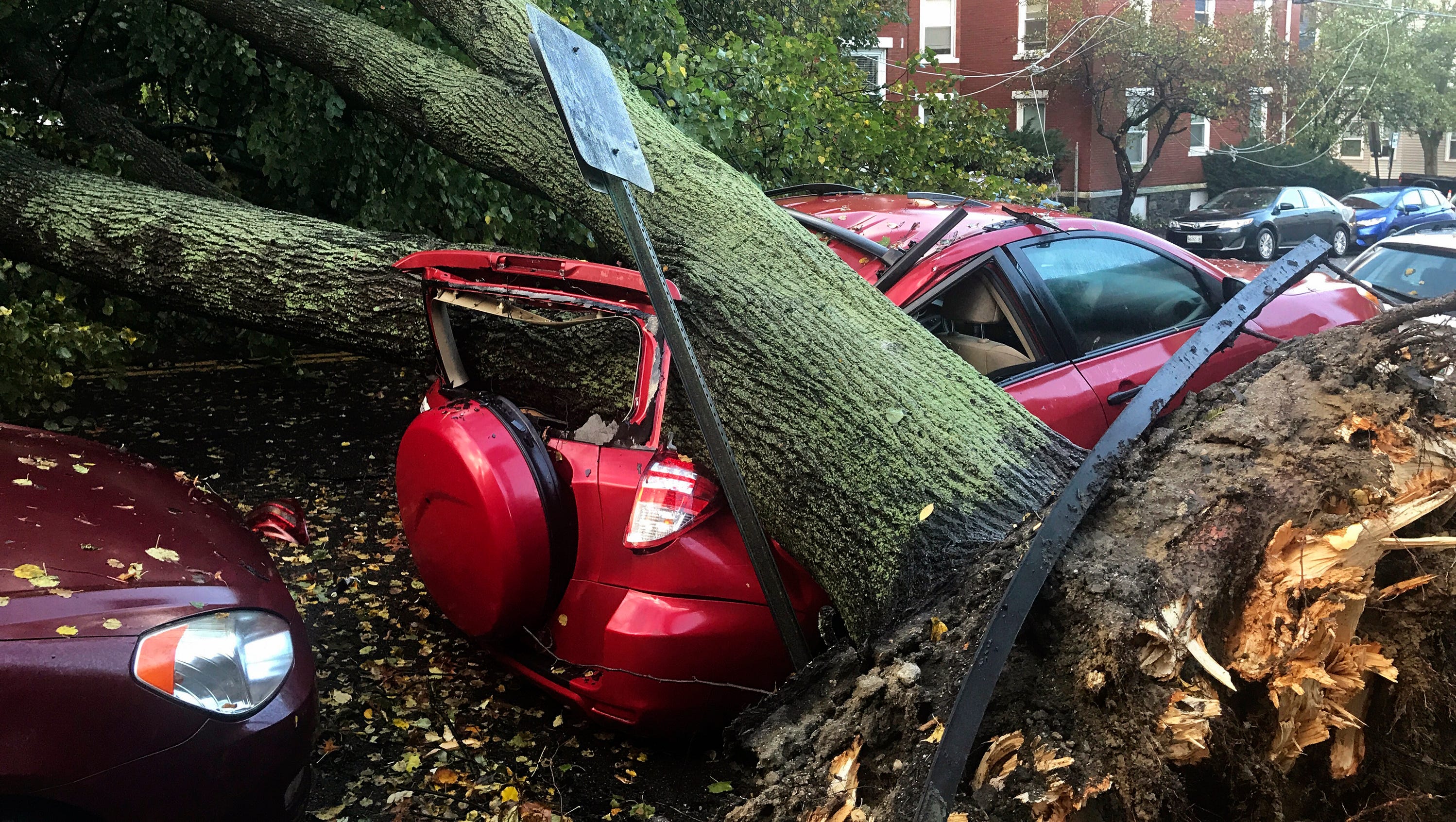 Potent Storm Wreaks Havoc In The Northeast