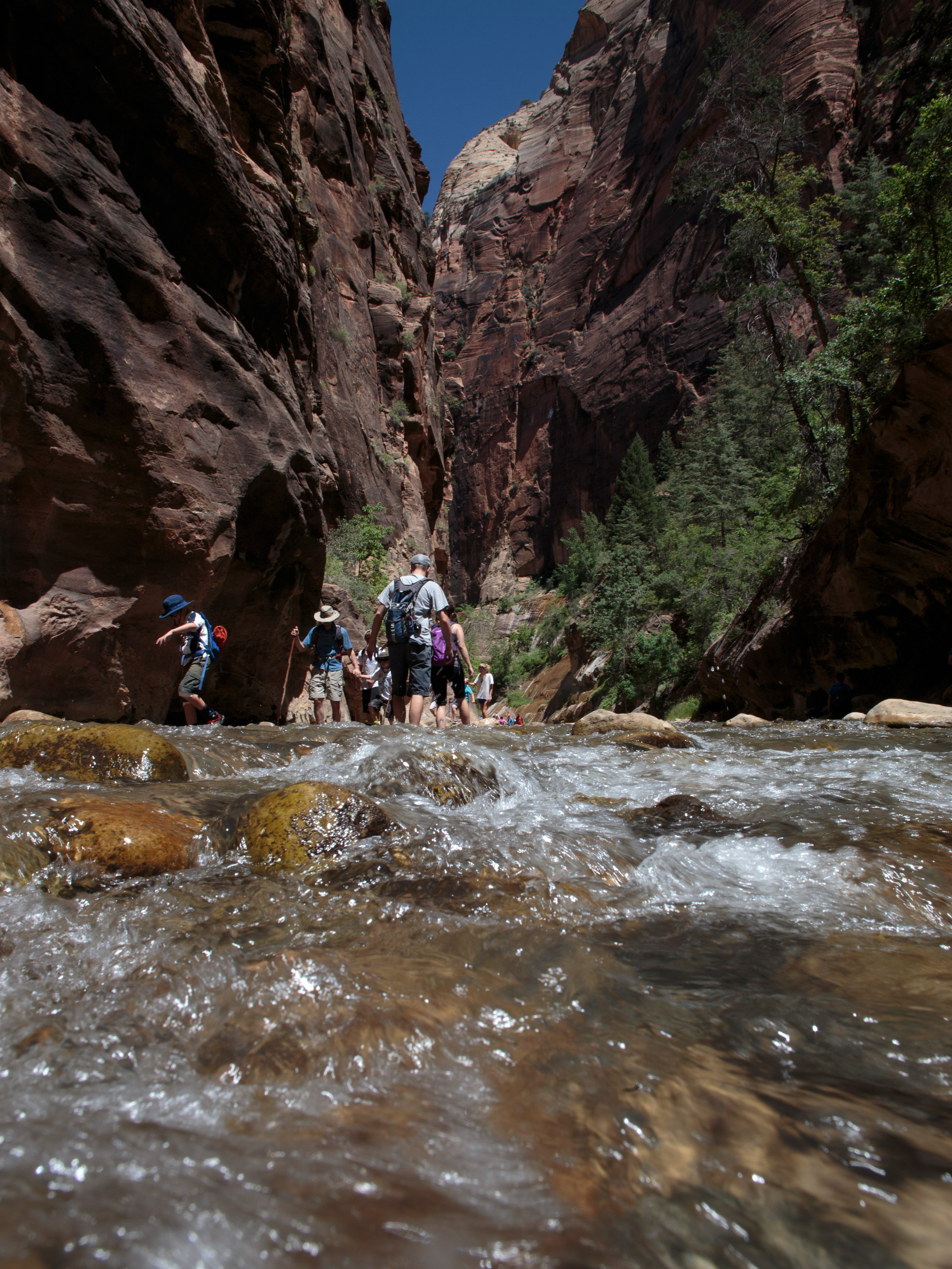 Download Virgin River Utah Bacteria PNG