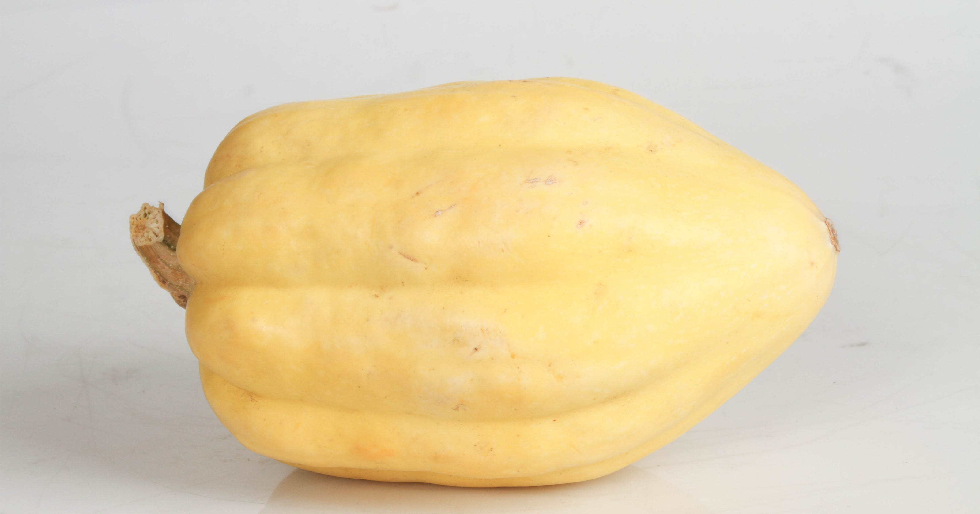 Squash9 ?width=3200&height=1680&fit=crop