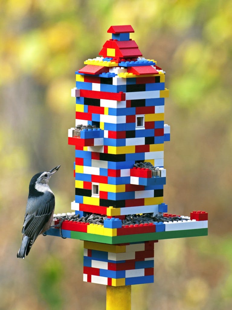 Bird house building contest