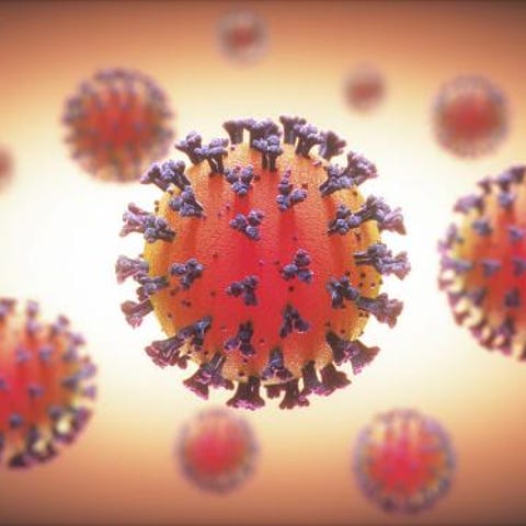 The COVID-19 coronavirus causes respiratory infect