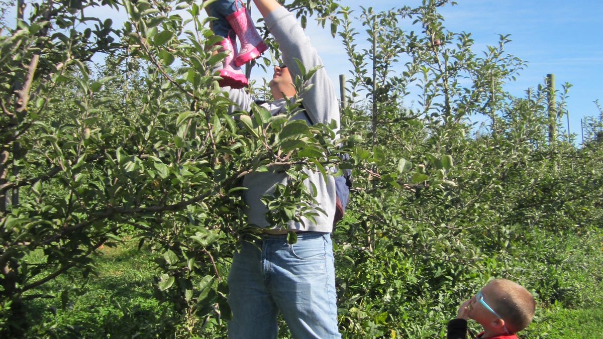 Late-summer NJ weather perfect for outdoor fall activities. Here’s a list of things to do