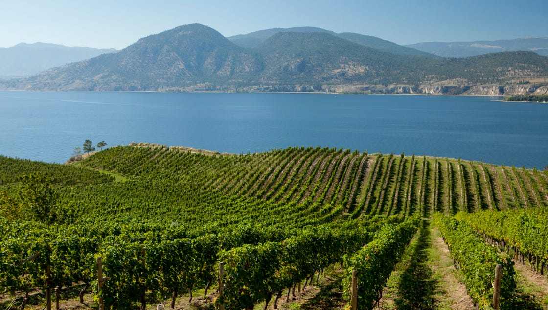 Canada's wine country: Where to taste and tour in every region