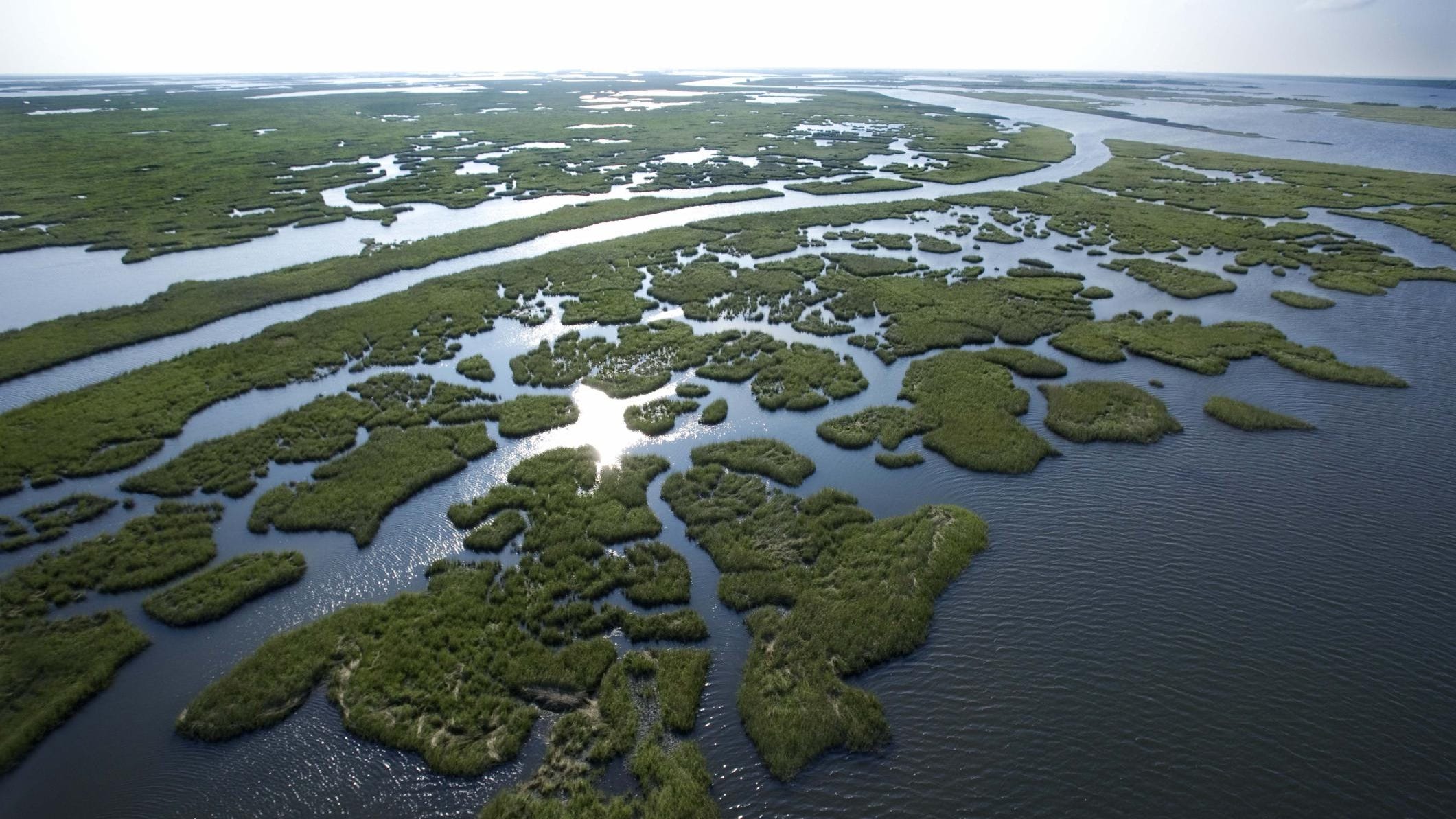 Not If But When Louisiana Wetlands Will Vanish Study Says   Ghows DA 200529639 62519216 