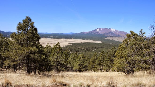 Flagstaff hike: Saddle Mountain