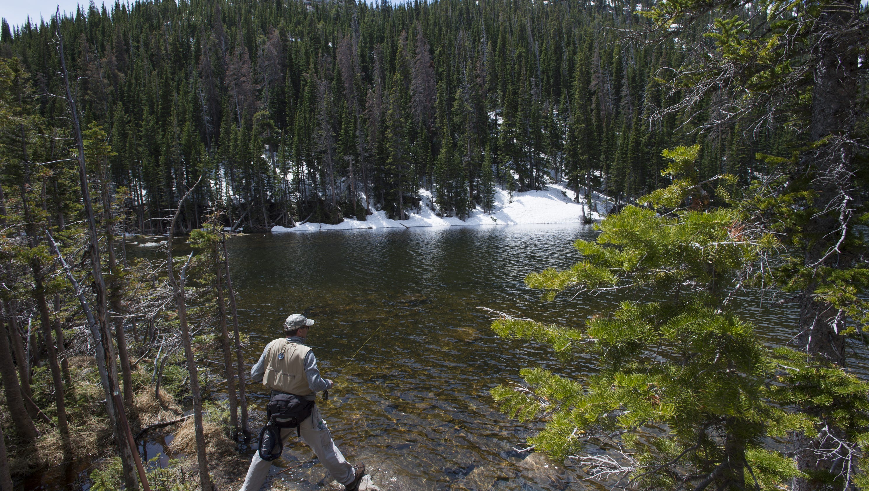 fishing planet rocky lake bait