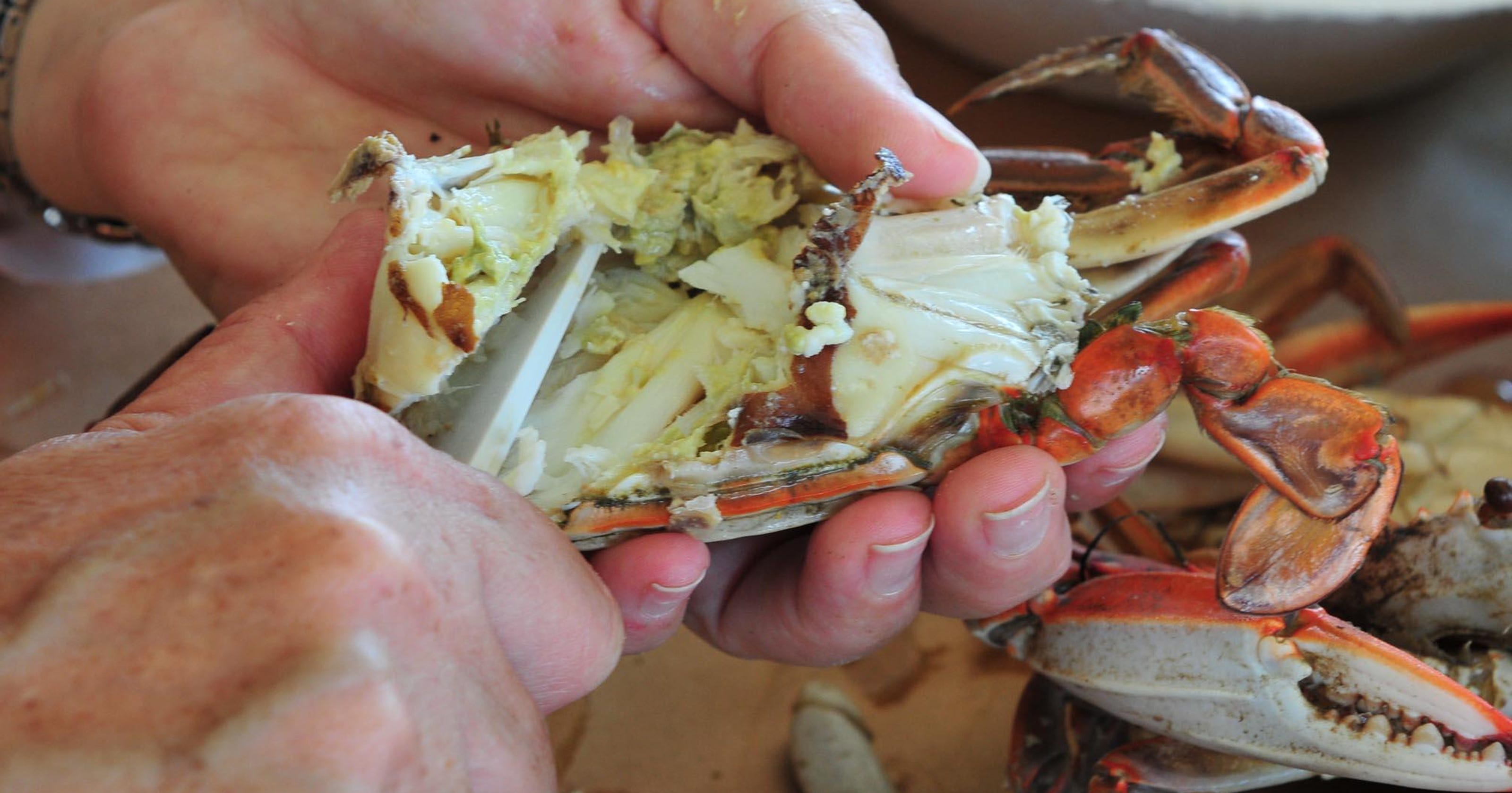 Here's how to pick a winner, the blue crab