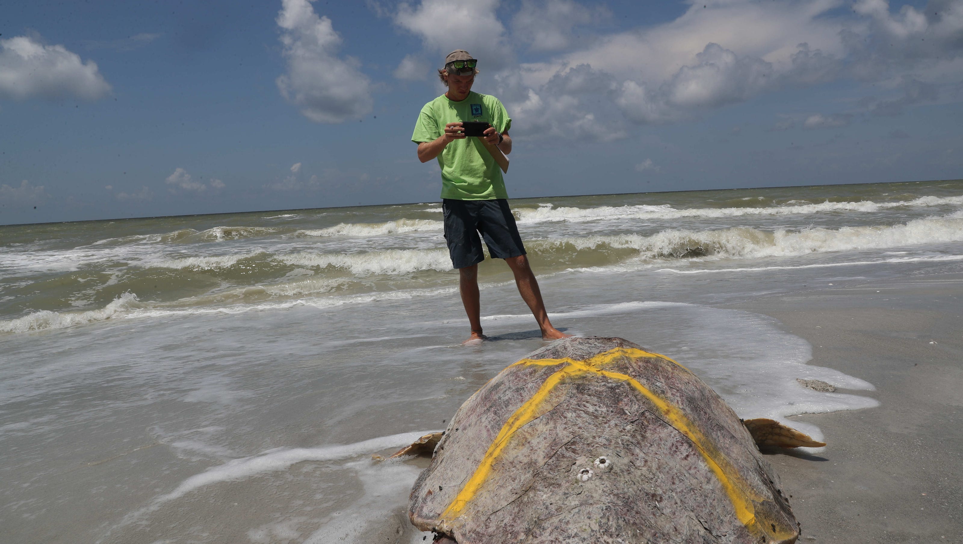 red tide florida beaches