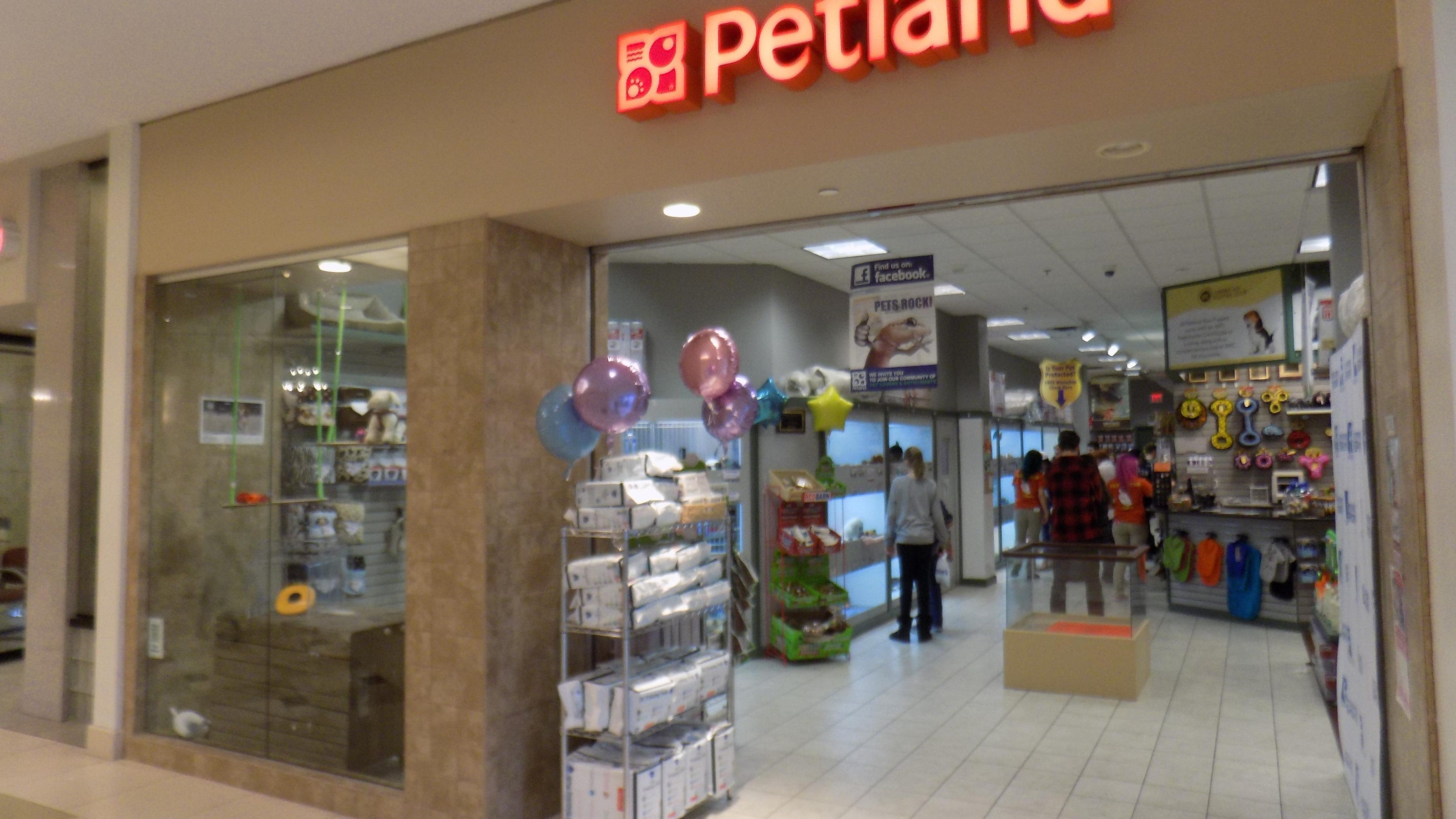 How Much Do Dogs Cost At Petland