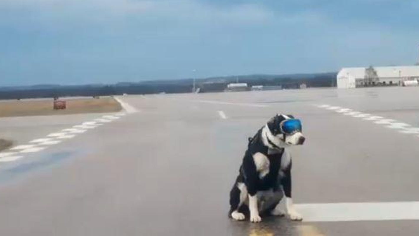 budget traverse city airport