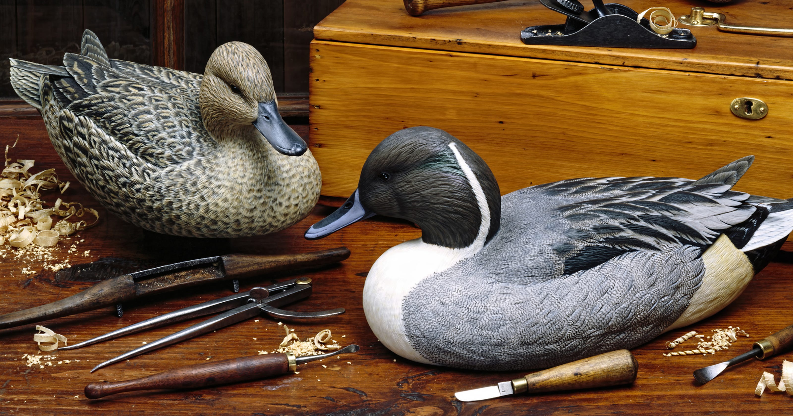 Museum’s duck decoy collection moves to Hammonton, for now