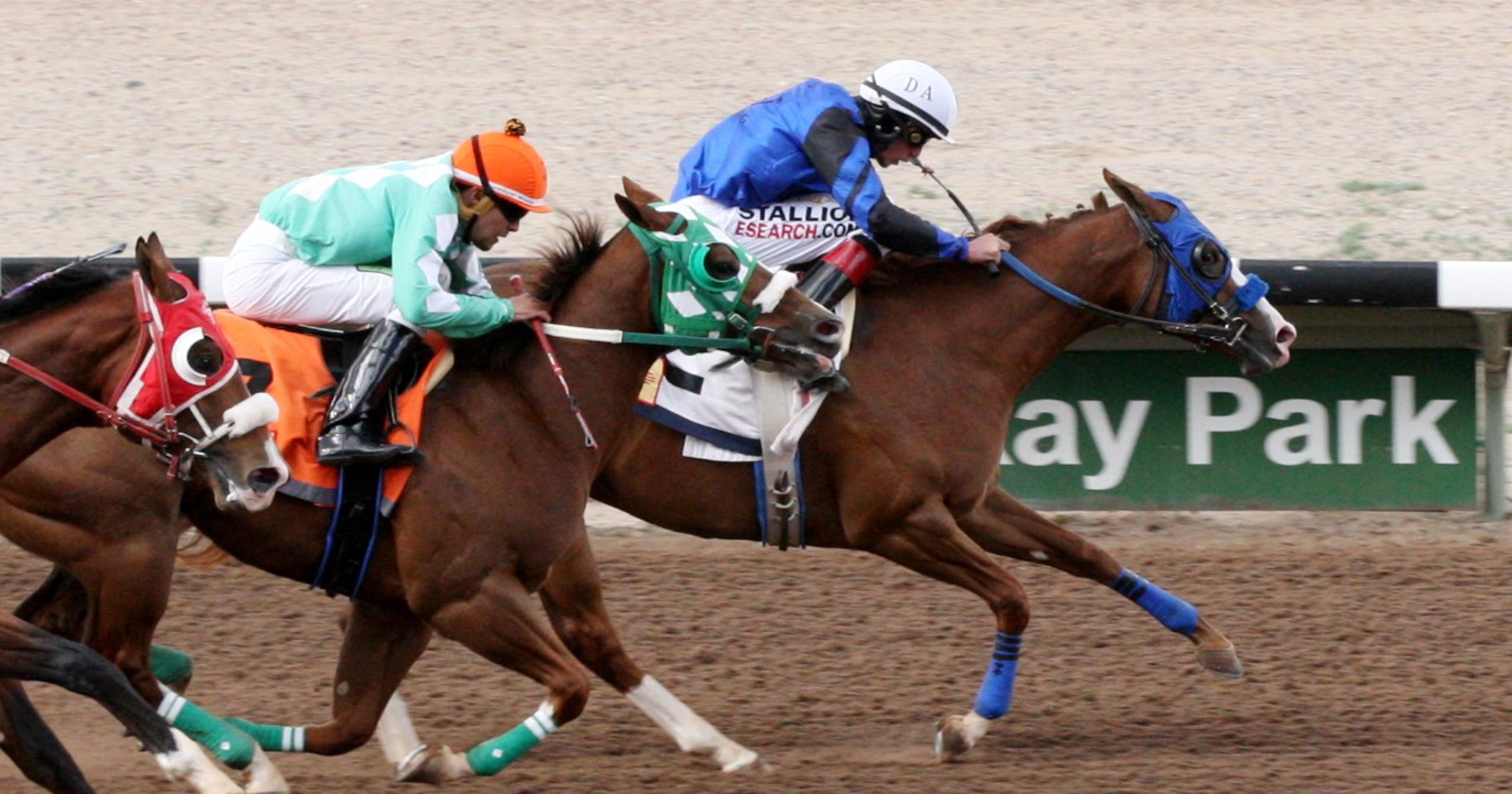 Breeders' Futurity features wide open cast