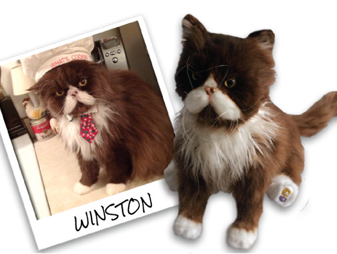 stuffed toys that look like your pet