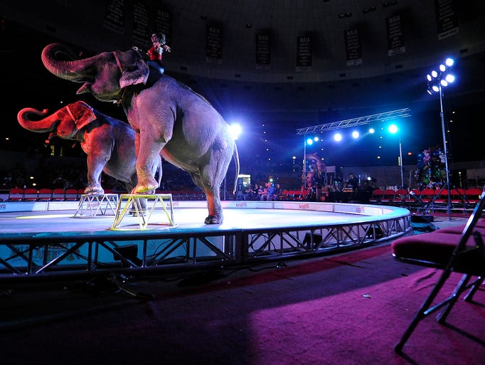 PHOTO GALLERY: Garden Bros Circus at Oman Arena