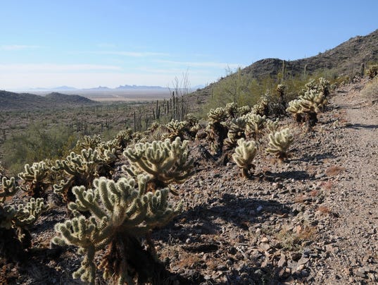 Arizona hike: Casa Grande Mountain Park