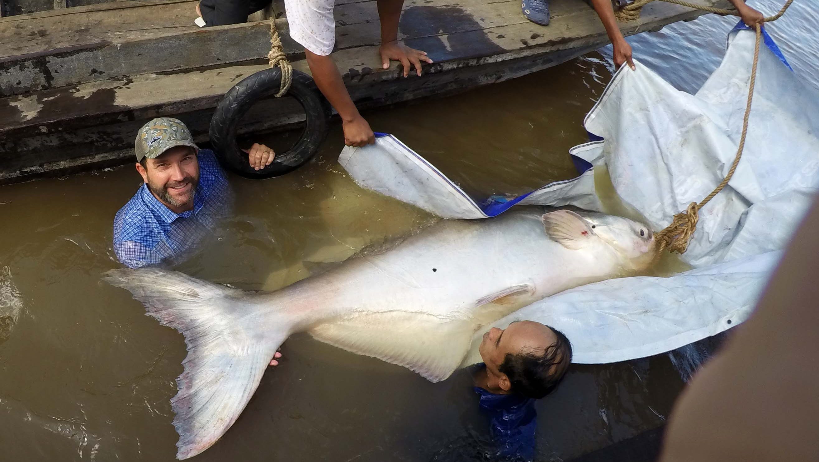 UNR Prof Catches 7-foot Catfish In Cambodia