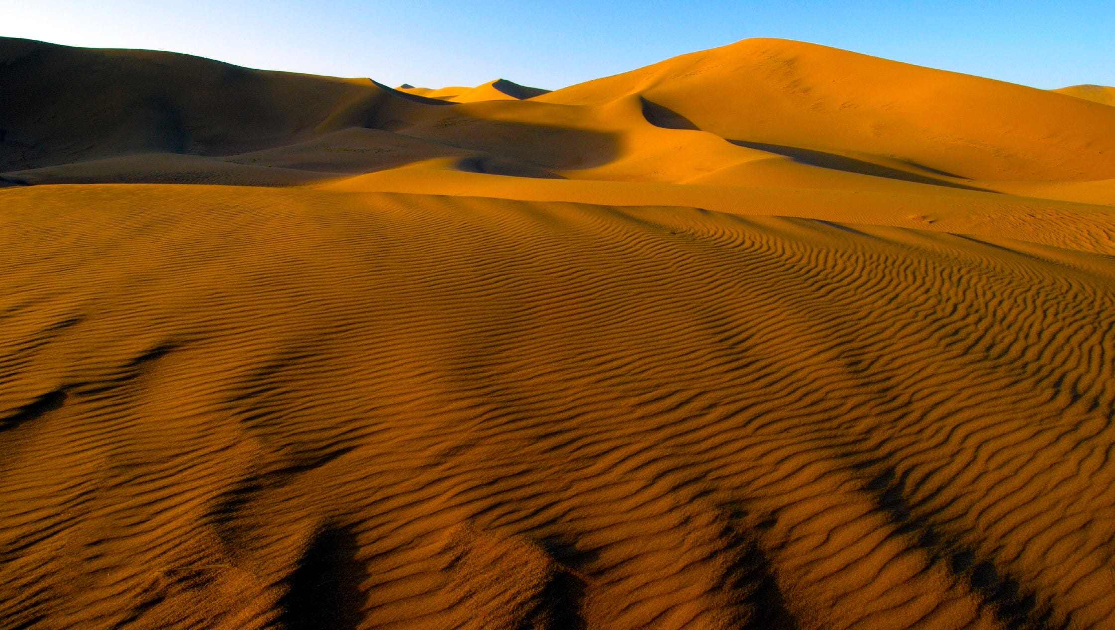 An ecological consultant treks through the Gobi Desert