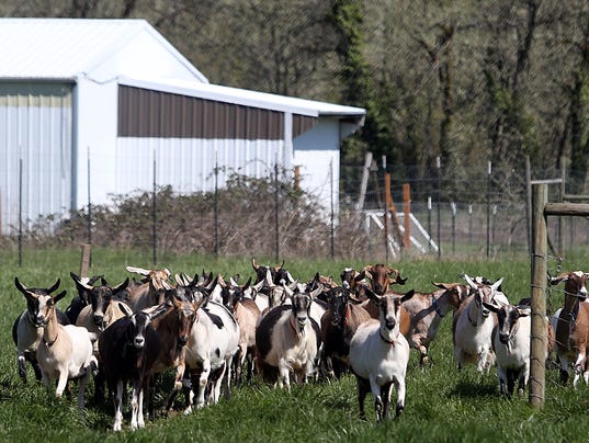 Fairview Farm Goat Dairy, goat museum to close