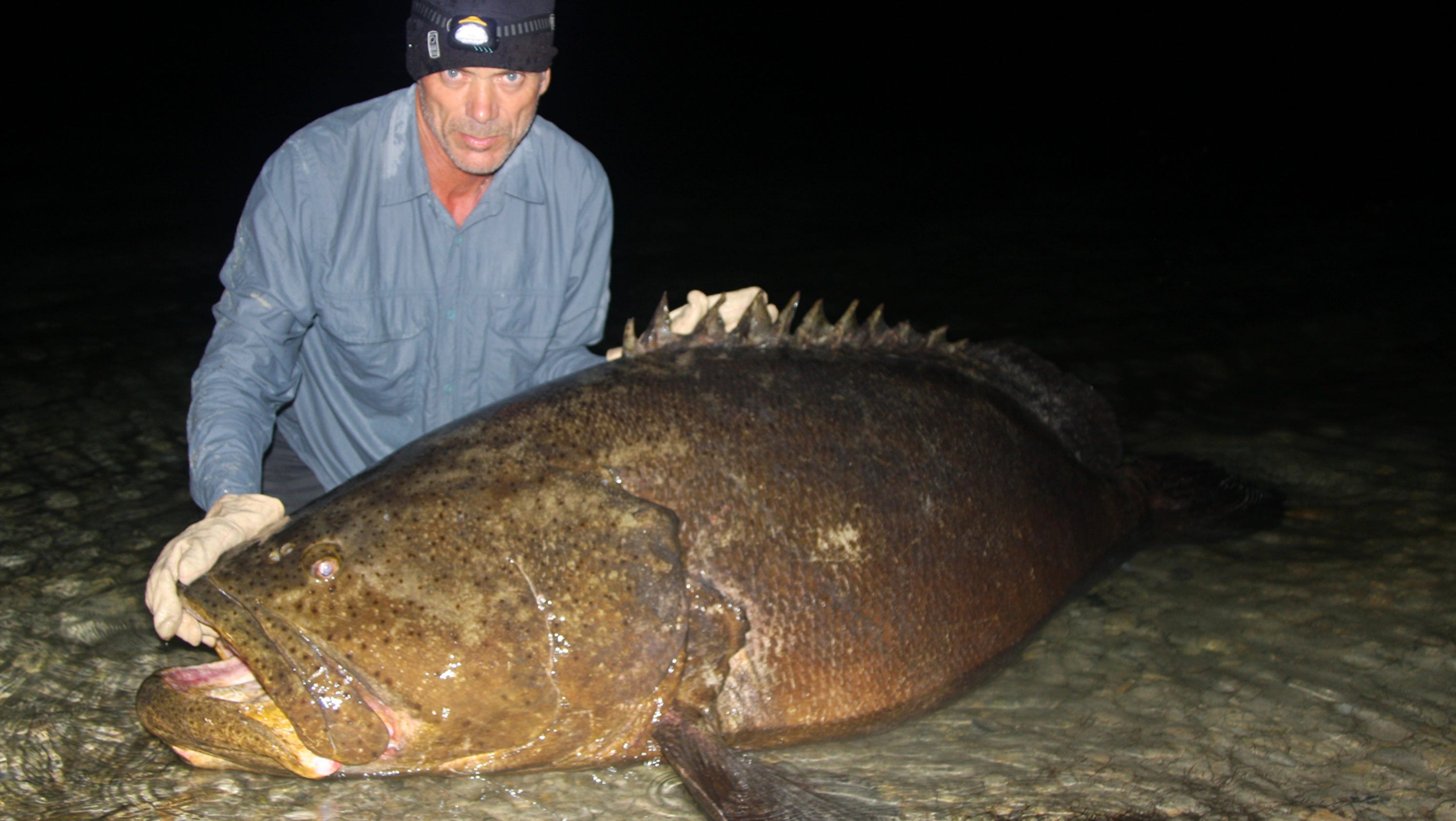 Will Florida allow goliath grouper fishing?