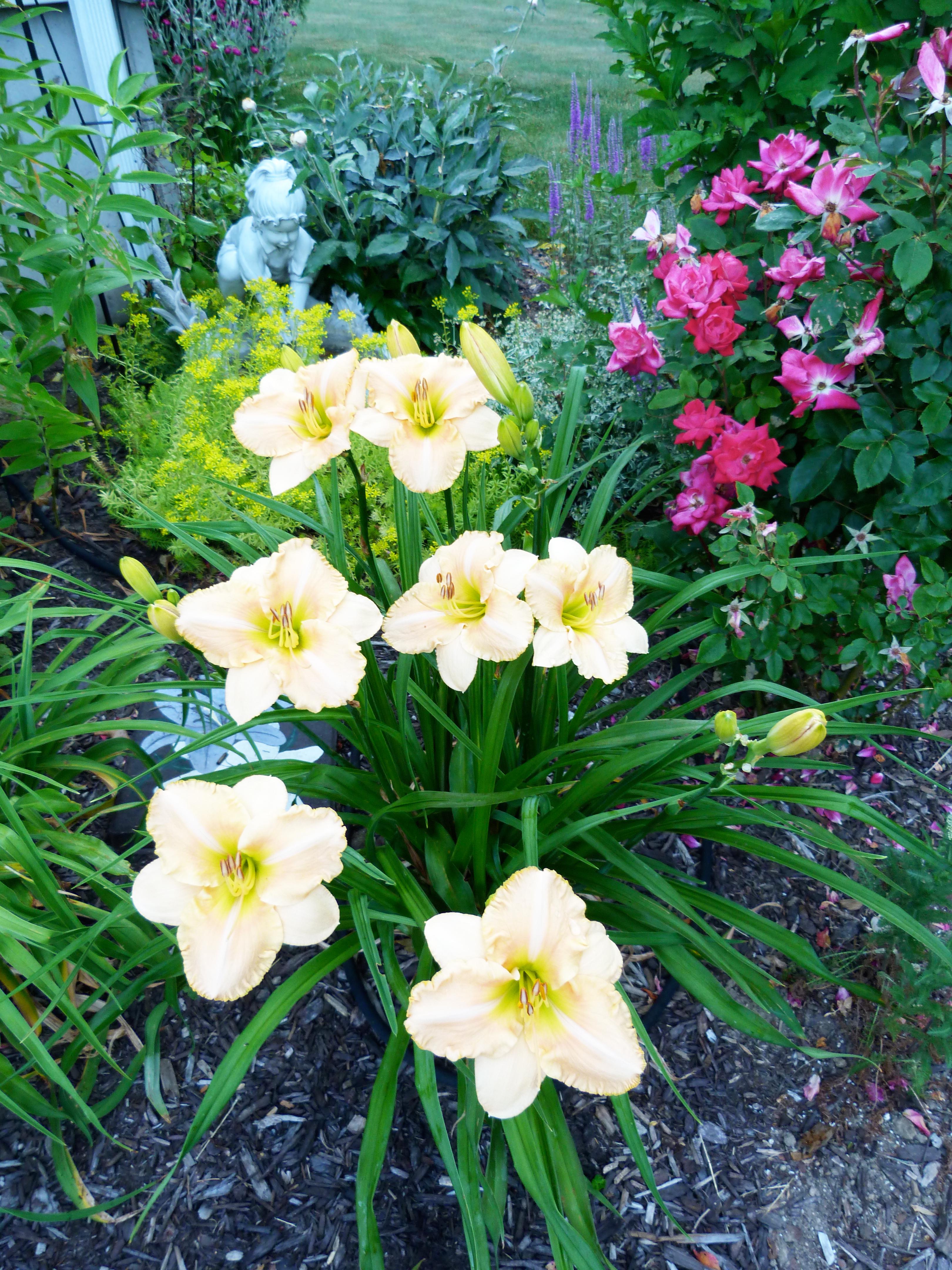 クリーム色に紅型調の花鳥と船　小紋