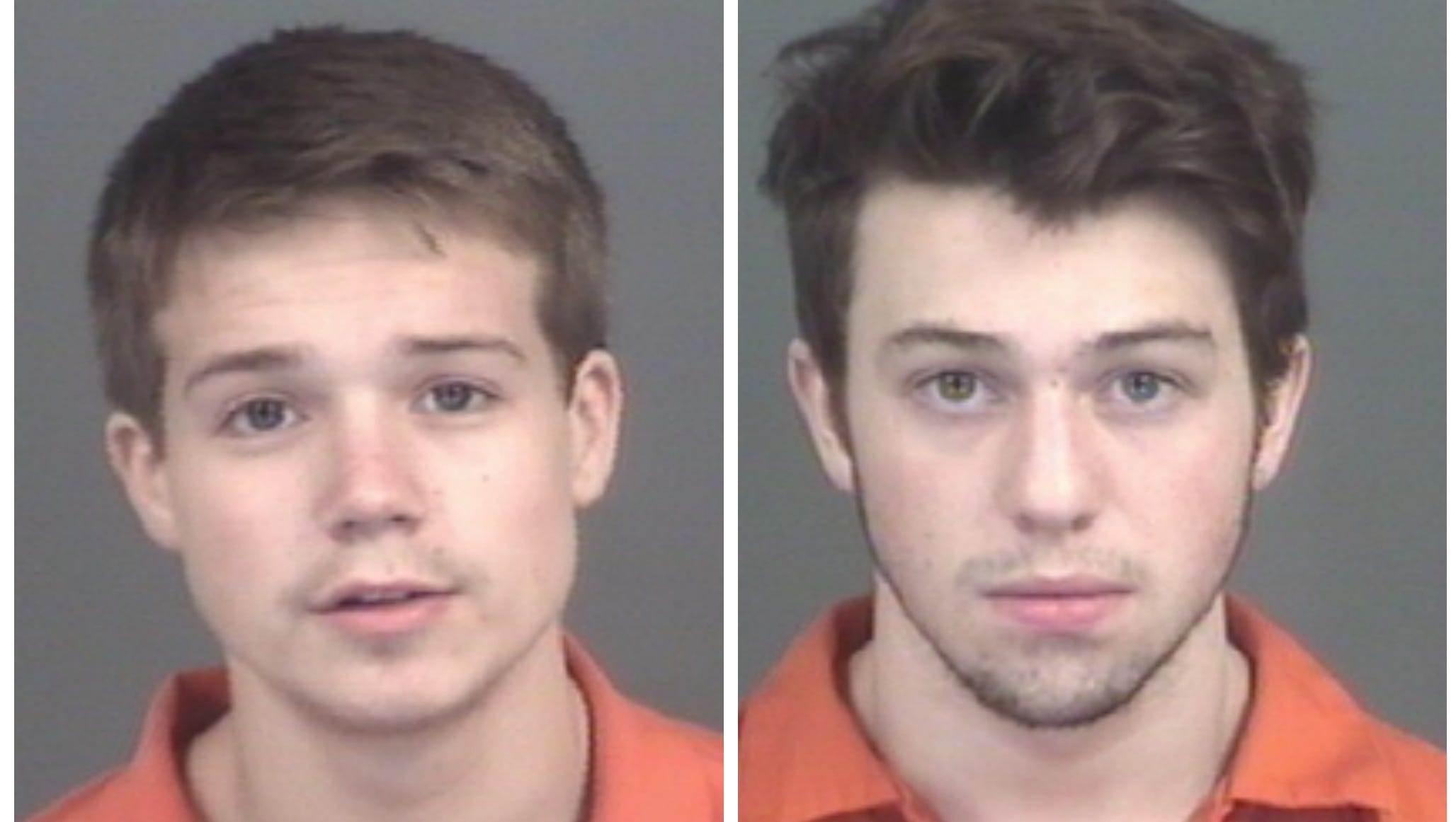 Two Pinckney Students Charged With Rape Of Teen