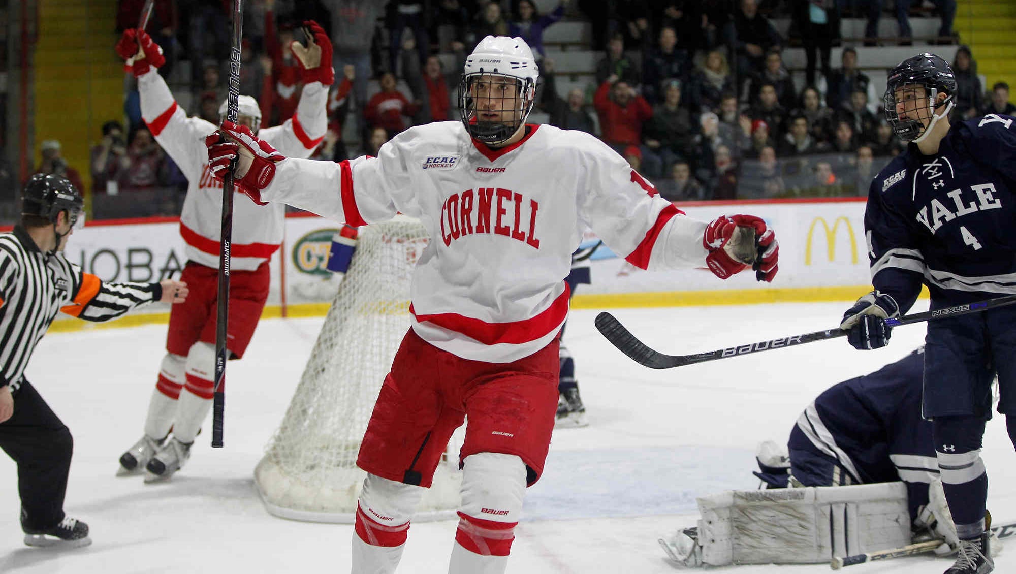 Cornell University NCAA hockey and "faithful" fans focus in new book