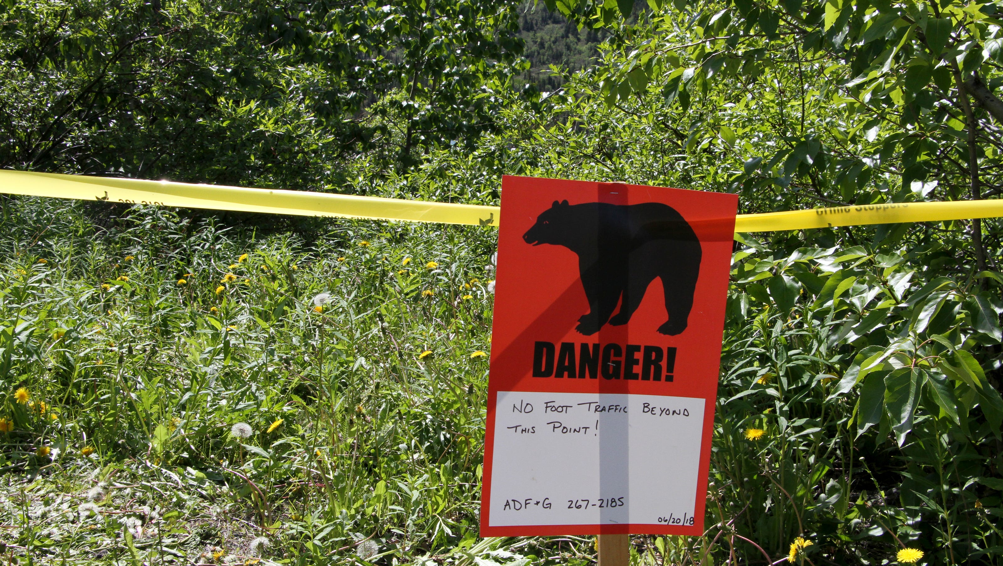 Bear may have killed Alaska hiker, mauled search party member, police say
