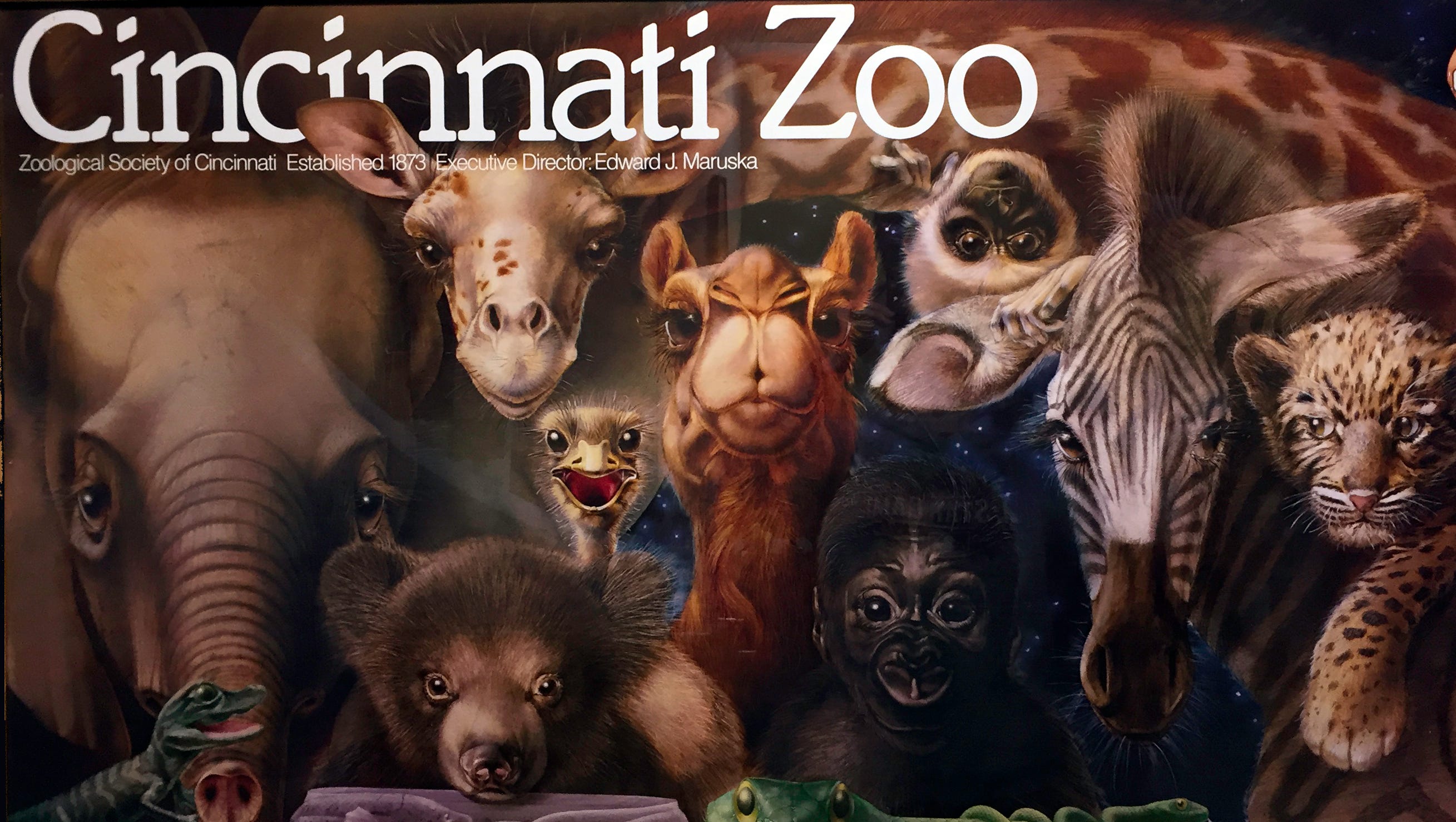 New Take On Iconic Cincinnati Zoo Poster Is Born