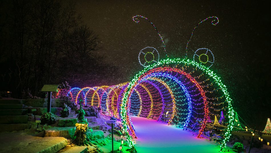 Rotary botanical gardens holiday light show - janesville