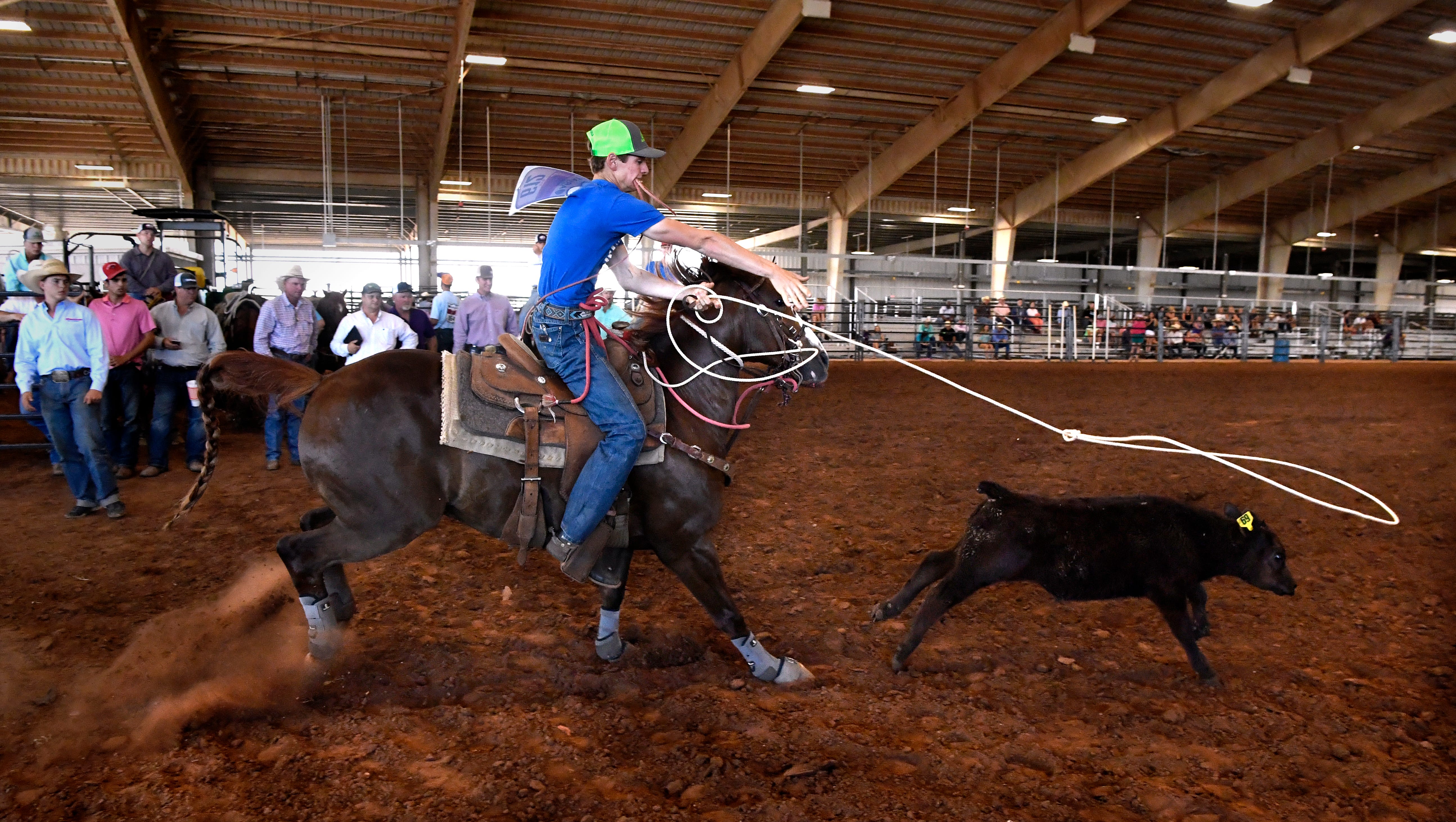 Midland Cowboy Gibson Strives For Greatness At State High School Rodeo